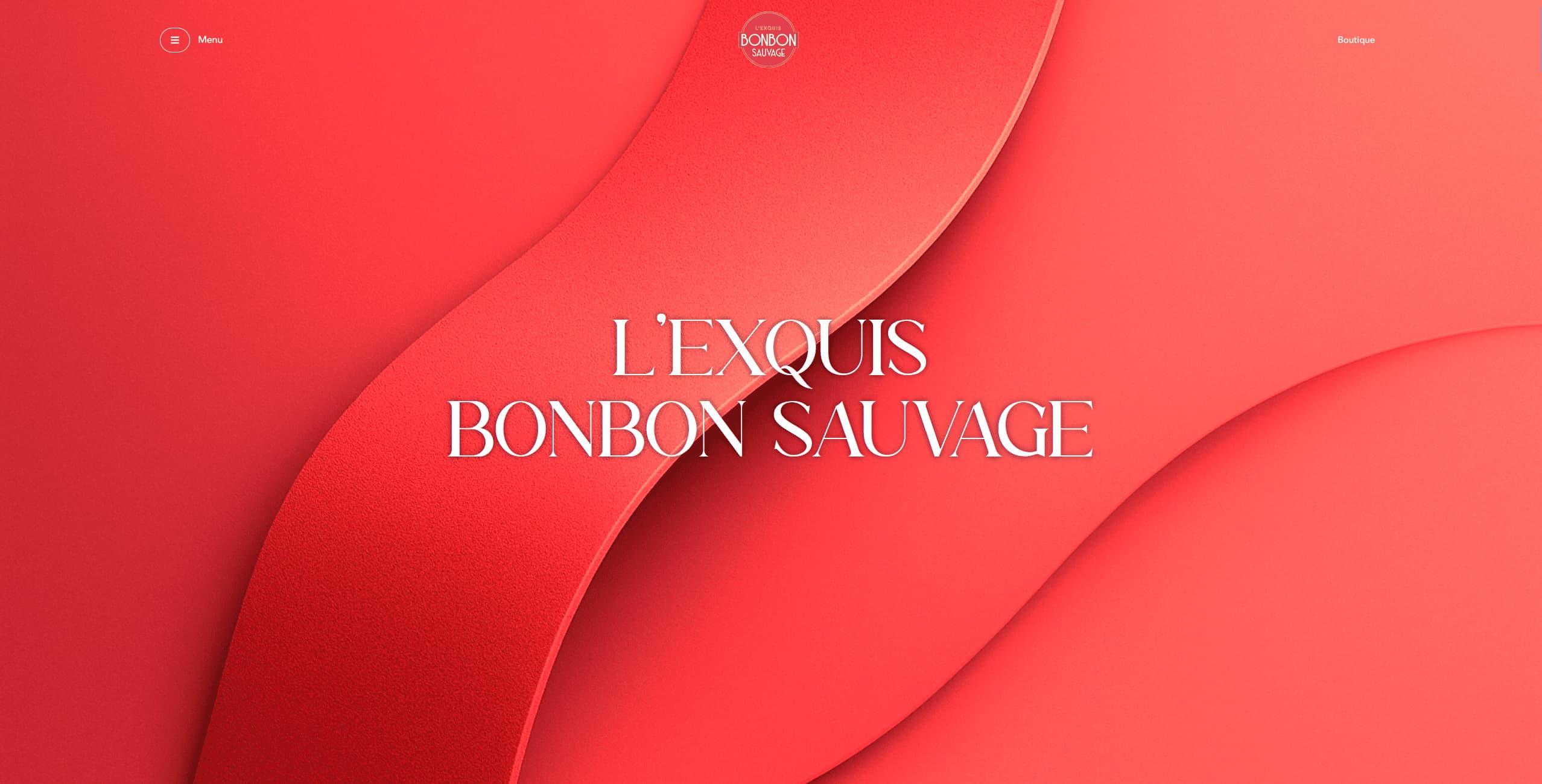 Aperçu du projet BonBon Sauvage